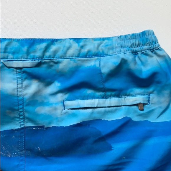 Bluemint Swim Trunks - Picture 5 of 5